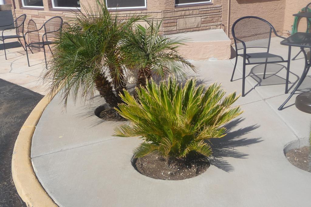 Palms Inn Gila Bend 외부 사진